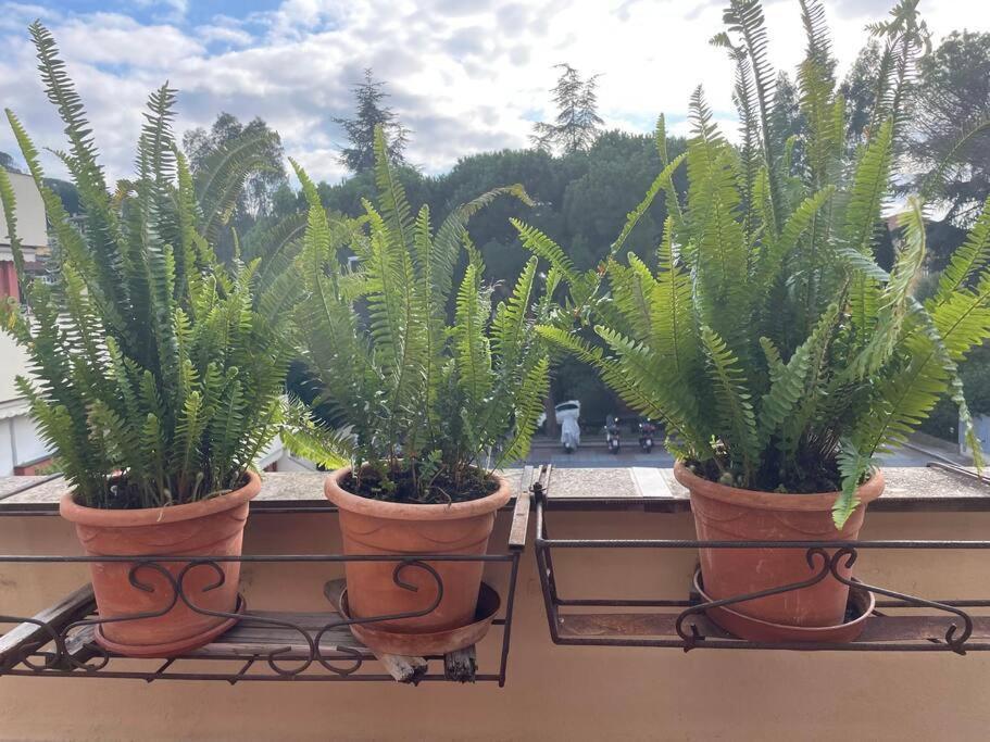La Casa Di Teri A Chiavari Exteriör bild
